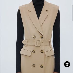Bordeaux Belted Trench Dress